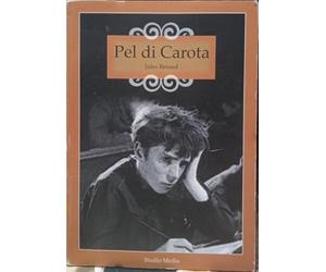 Pel di Carota DVD BOOK