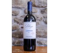 Pelago 2021 Marche Rosso Umani Ronchi 75c 14% Storico Vino Iconico Pluripremiato