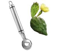Pelapatate a Cucchiaio per Cactus, 19 x 4,8 cm Strumento Pelapatate Cactus Coltello Tagliare le Tagliatelle con Foro con Manico Lungo per la Cucina Cottura delle Tagliatelle di Cactus