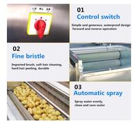 Pelapatate e lavatrice automatica per verdure, pulizia con spazzole a rullo ad alta pressione per patate, mandioca, carota