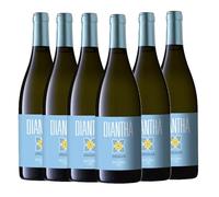 PELLEGRINO DIANTHA´ TERRE SICILIANE [ 6 bottiglie x 750mℓ ]