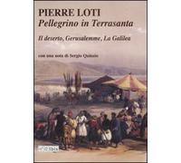 Pellegrino in Terrasanta. Il deserto-Gerusalemme-La Galilea