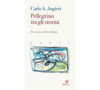 Pellegrino tra gli stormi