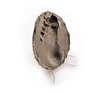 PELLER'S Espositore, Cavalletti per Display in Acrilico Trasparente per geocoin, Monete, Foto, medaglie e Altri Oggetti da Collezione. (5, L)
