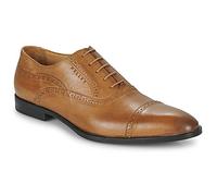 Pellet Scarpe ALEX in Marrone 44