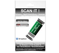 Sviluppo Film + Scansione 120 mm Rotolo Film Nero/Bianco - Dati immagine tramite Dropbox XL Scansione 3637 x 3637 px a 6 x 6