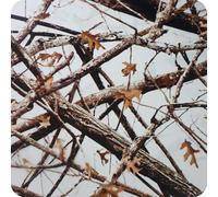 Pellicola Cubicatura Hydro Dipping Hydrographics Hydrodipping Attivatore Activator Kit mimetico camo realtree nevado. Dimensioni: Larghezza: 50 cm. Lunghezza: 400 cm (HCA-145)