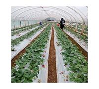 Pellicola di copertura a membrana a prova di umidità per agricoltura, lunghezza 10 m, materiale durevole in polietilene