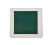 Pellicola di visualizzazione del campo magnetico per la ricerca scientifica e il controllo della qualità, membrana flessibile per vedere i campi invisibili, verde scuro (B)