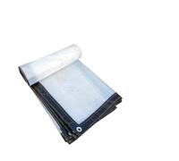 Pellicola impermeabile in plastica trasparente for esterni, telone impermeabile for terrazze, isolamento di piante grasse(2x4)