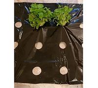 Pellicola pacciamante perforata in PE nero a 5 fori, 95 cm x 0,02 mm di spessore, for copertura agricola/giardino, controllo termico/delle erbacce - 1 pz.(15 Meters)