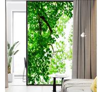 Pellicola per finestre Privacy con stampa di piante verdi, vetro colorato, pellicola statica, trattamenti per finestre, coperture per finestre, adesivo per vetro, pellicola decorativa per rivestimento
