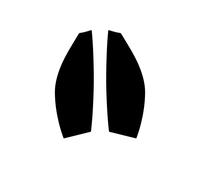 Pellicola Per Finestrini Auto Pretagliata Per Ferrari 488 2015-16