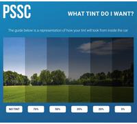 Pellicola Per Finestrino Auto PSSC Pre Tagliata Per Citroen Evasion 1994-2002