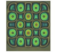 Pellicola per la visualizzazione del campo magnetico, 10,2 x 10,2 cm, display con flusso magnetico, rilevatore di pattern magnetici, insegnamento di progetti scientifici, riutilizzabile e recupero