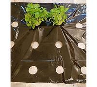 Pellicola perforata per pacciamatura in polietilene nero, 5 fori per il | Pellicola perforata per pacciamatura per un'efficace protezione termica e controllo delle erbacce nei giardini