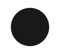 Pellicola protettiva cruscotto moto Pellicola Protettiva Per Cruscotto Antigraffio Per Benda Per Napoleon 450