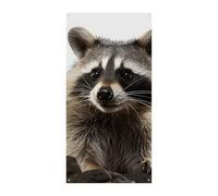 Peloso Raccoon Copertura Della Porta Banner Party Decor Forniture Portico Appeso Banner Personalizzazione Festone Per Vacanze Compleanno Giardino Prato