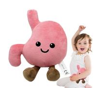 Peluche a forma di stomaco dei cartoni animati, con tema anatomia, piccola bambola per divano, arredamento e accessori per auto, divertente regalo educativo per bambini, e conoscenze