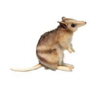 Peluche animale morbido realistico Hansa Eastern Barred Bandicoot da 16 cm