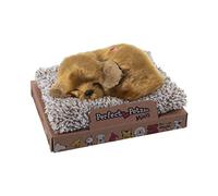PELUCHE C/SONIDO PERRO MINI MUTT 14X13X5,5CM, BASE:16X13,5X2CM