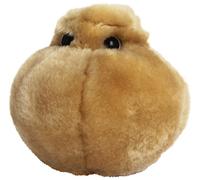 Peluche Microbe - La cellule adipeuse