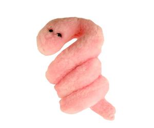 Peluche Microbe - La syphilis