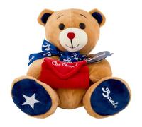Peluche Orso Blu con cioccolatini, 100 g