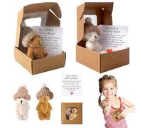 Peluche Orso in Scatola, 2 Pezzi Orsetto Nella Scatola, Orsetto in Scat0la, Mini Ors0 con Ispirazione Carta, Mini Worry Bear tasca in peluche, Orsett0 in Scat0la con Cappello per Famiglia Regalo