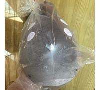Peluche pupazzo Pokemon Mofugutto Clodsire nuovo
