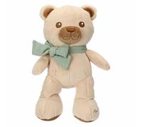 Peluche Teddy con fiocco, grande