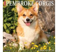 Pembroke Corgis 2025 Wall