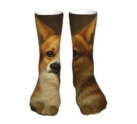 Pembroke Welsh Corgi Painting Calzini Donna Divertenti Calze Elasticizzato Calzini Per Adulti Running Hike 40Cm