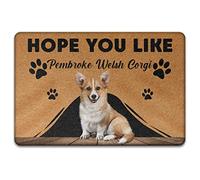 Pembroke Welsh Corgi, Per Il Regalo Degli Amanti Dei Cani Tappetini Porta Dingresso Antisporco Tappetino Da Bagno Resistente Tappeti D'Ingresso Per Balcone Soggiorno Camera Letto 40X60Cm