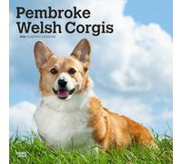 Pembroke Welsh Corgis - Pembroke Welsh Corgi 2026 - 16-Monatskalender: Original BrownTrout-Kalender [Mehrsprachig] [Kalender]