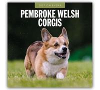 Pembroke Welsh Corgis - Pembroke Welsh Corgi 2027 - 16-Monatskalender: Original Red Robin Publishing Ltd-Kalender [Mehrsprachig] [Kalender]