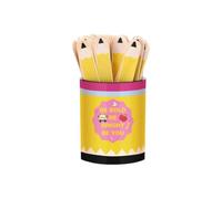 Pencil Name Sticks 121 Piece Educational Tag with Storage Cup