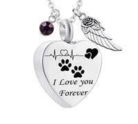 Pendant Urns for Human Ashes,Heart with ECG Dog Paw Print Birthstone and Angel Wing Engraving I Love You Forever Ash Necklace Stainless Steel Necklace Urns