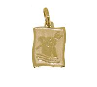 Pendente in Oro Zodiaco Acquario ZOD07GGAC - Stella