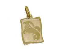 Pendente in Oro Zodiaco Capricorno ZOD07GGCP - Stella