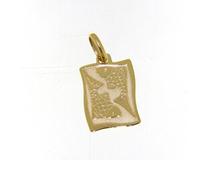 Pendente in Oro Zodiaco Pesci ZOD07GGPE - Stella