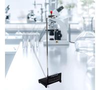 Pendulum Experiment Equipment Fishys Teaching Prop per gli studenti
