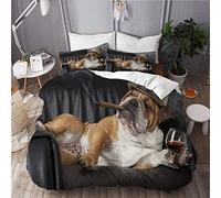 PENGTU Set Biancheria da Letto,Bulldog Inglese Fotografia Umoristica Riposo Nero,Set Copripiumino in Microfibra,Matrimoniale,1 Copripiumino220 x 240cm + 2 federe 50 x 80 cm