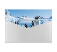 Penguin Antarctica Ice File Cartelle Organizer Durevole Cartella Portfolio con 6 Scomparti Tasche Cartelle per Archiviatore, Ufficio Riprendi Portfolio