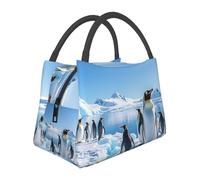 Penguin Antarctica Ice Lunch Bag per donne e uomini, borsa termica per il pranzo, riutilizzabile, a prova di perdite, con tasche laterali, contenitori per alimenti più freddi, grande borsa per pasti