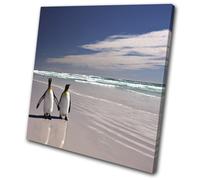 Penguins Beach Birds Sea Blue Animals SINGLE TELA parete arte foto stampa