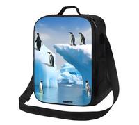 Penguins On The Iceberg Borsa per il pranzo per donne e uomini, borsa termica per il pranzo, riutilizzabile, a prova di perdite, contenitori per alimenti a tracolla, borsa per pasti per lavoro, viaggi