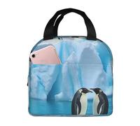Penguins On The Iceberg - Borsa per il pranzo riutilizzabile, portatile, a prova di perdite, isolata, con tasca frontale, per donne, uomini, viaggi, picnic, ufficio, lavoro