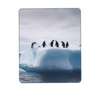 Penguins On The Iceberg Mousepad Piccolo Tappetino Scrivania Durevoli Tappetino per Mouse for Casa Lavoro Gaming 25X30Cm