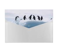 Penguins on the Iceberg - Organizer per documenti a fisarmonica, con 6 tasche, espandibile, con etichette, cartelle per documenti da viaggio, buste in plastica con chiusura a scatto, 33 x 23 cm